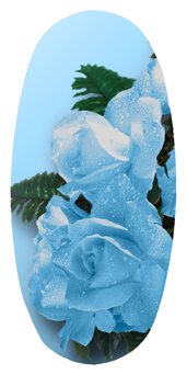 DASOV 061 Bouquet Of Roses Blue